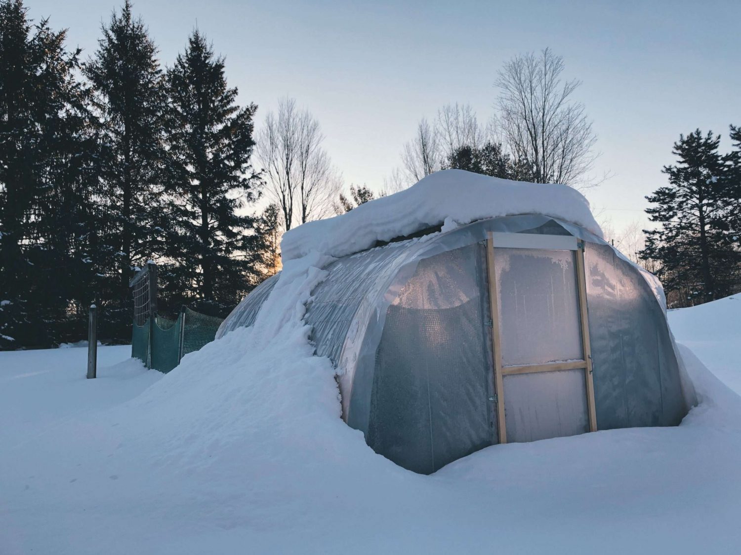 Greenhouse in winter, buried in the snow