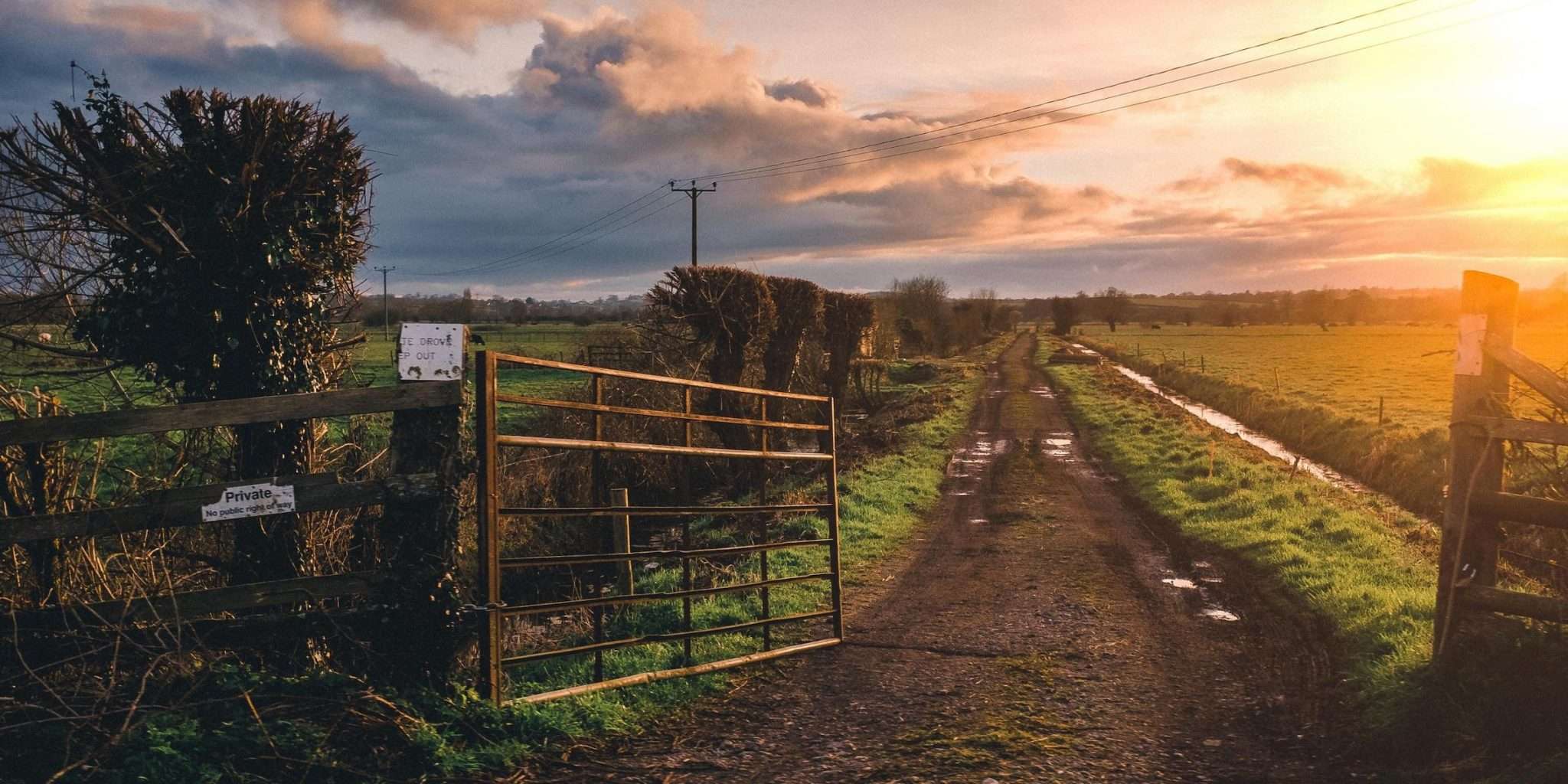 where-can-i-find-raw-milk-near-me-the-homesteading-rd