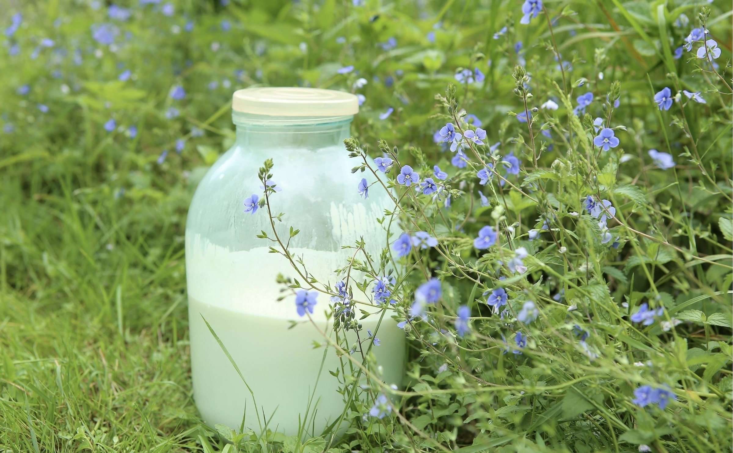 Raw Milk - You Can Find in a Retail Store