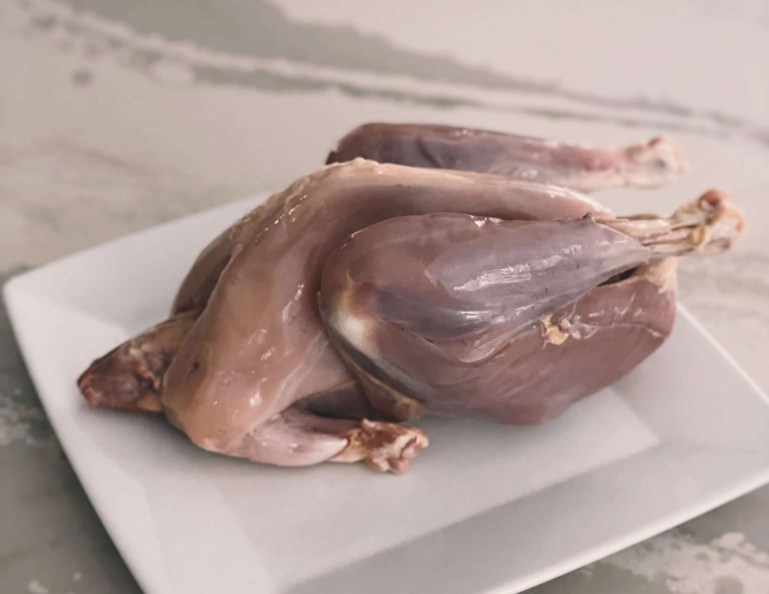 Cooking a Rooster The Basics The Homesteading RD