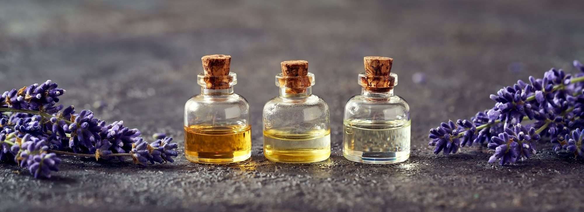 3 bottles of essential oils in a row with bundles of dried lavender on each side