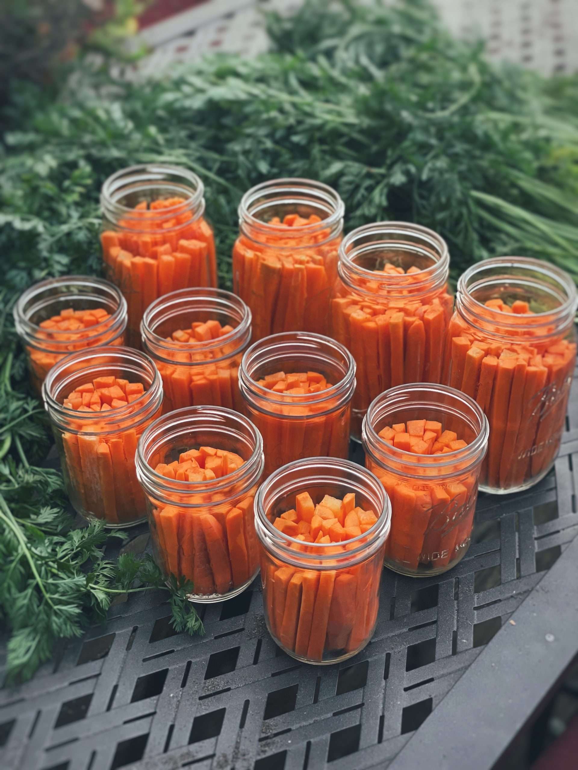 Glass canning jars filled with carrots to be fermented on an outside deck table.