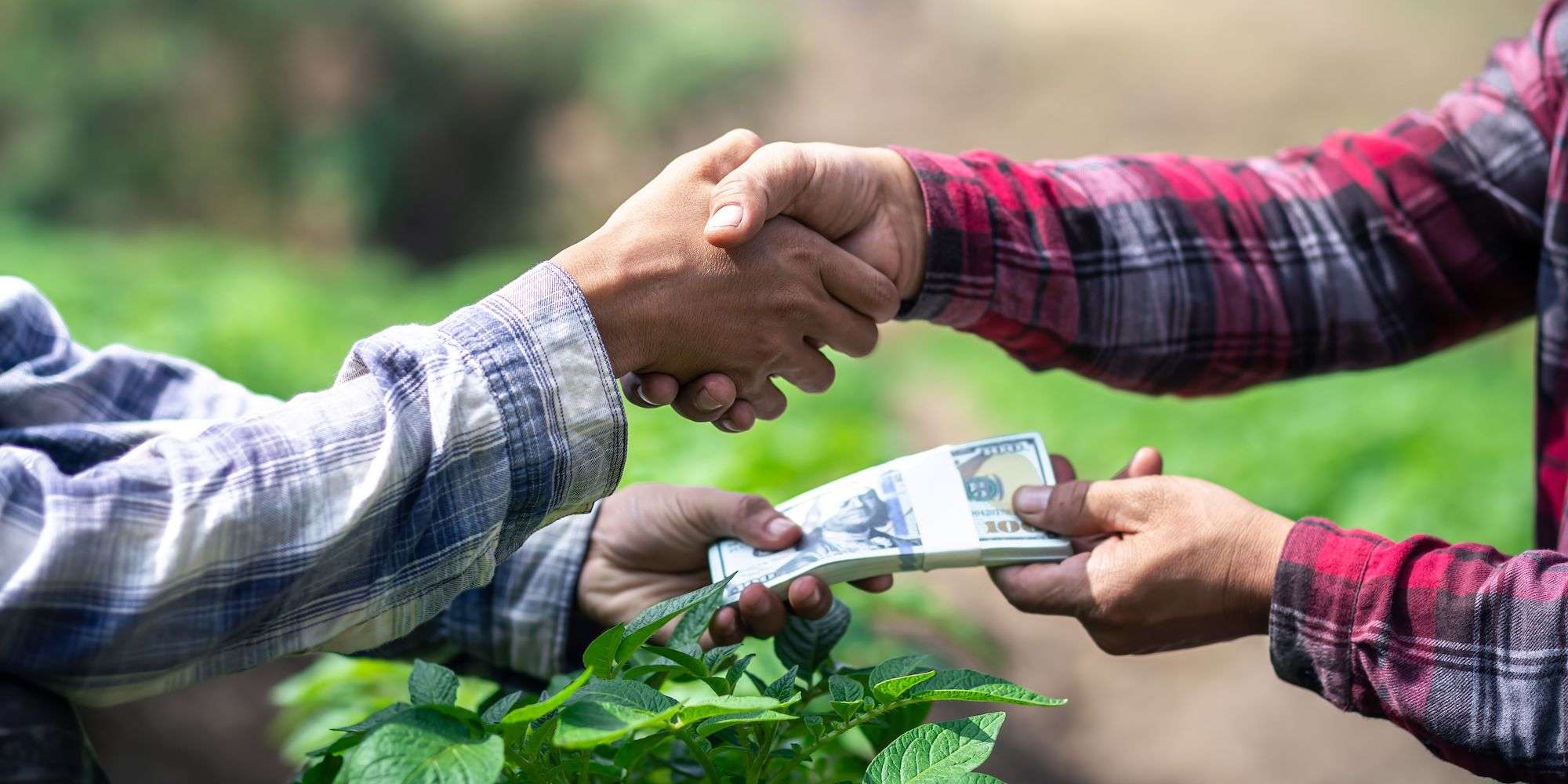 A consumer shaking hands with a farmer over a crow of potato plants and exchanging money