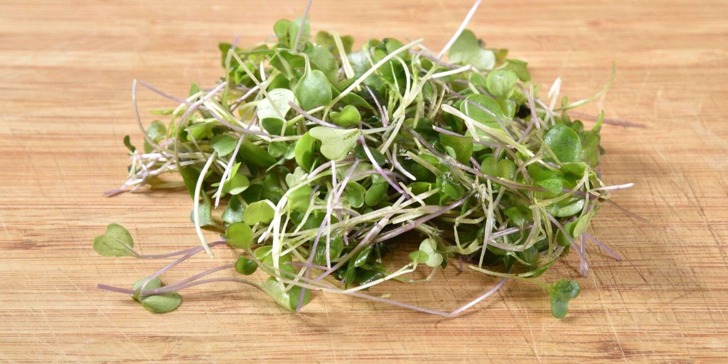 Pile of broccoli microgreens on a wooden background
