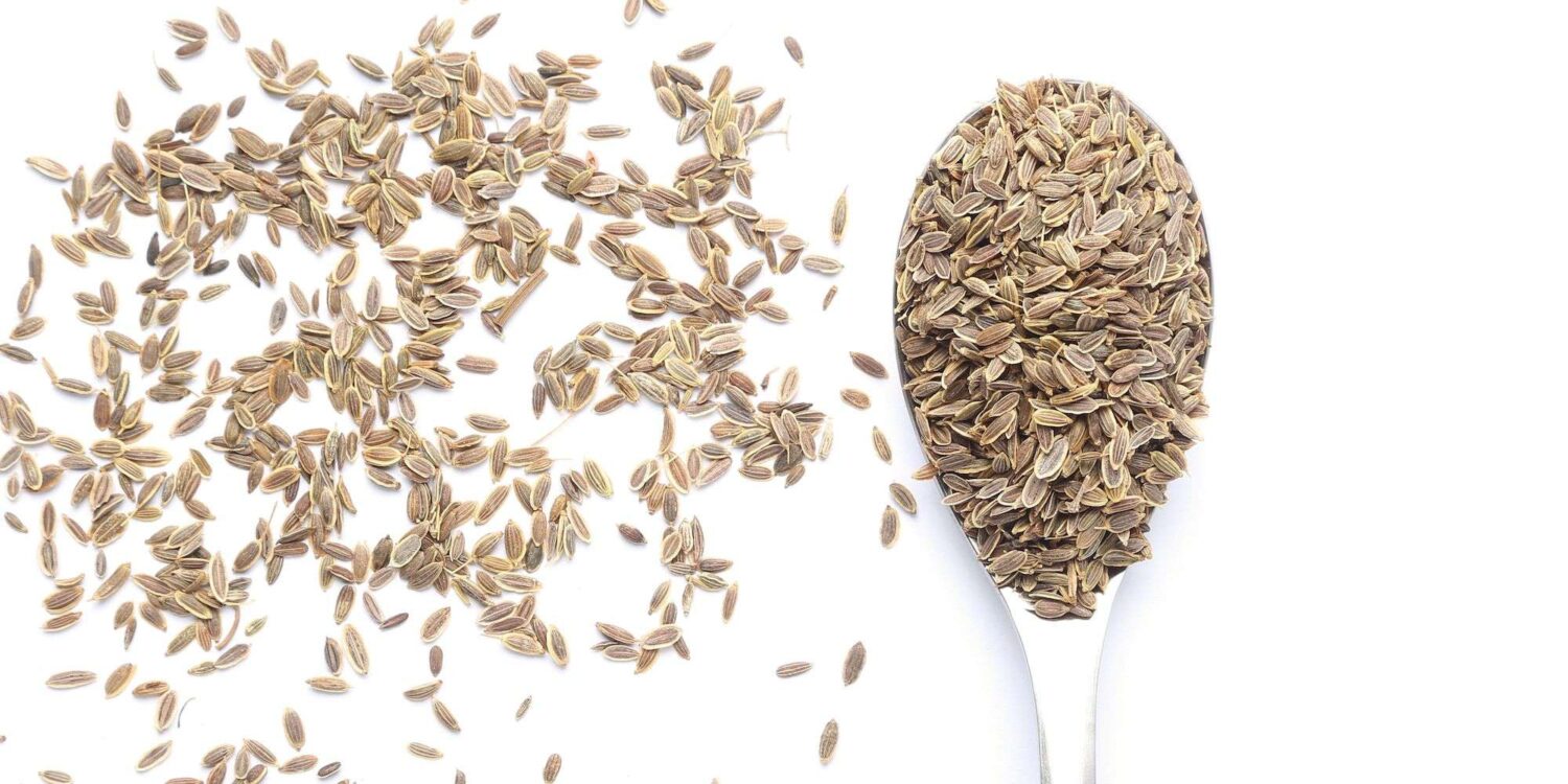 Dill seeds on a white background with a spoonful of dill seeds as well.