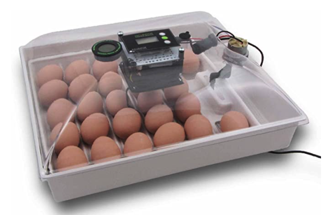 IncuView All-In-One Automatic Egg Incubator