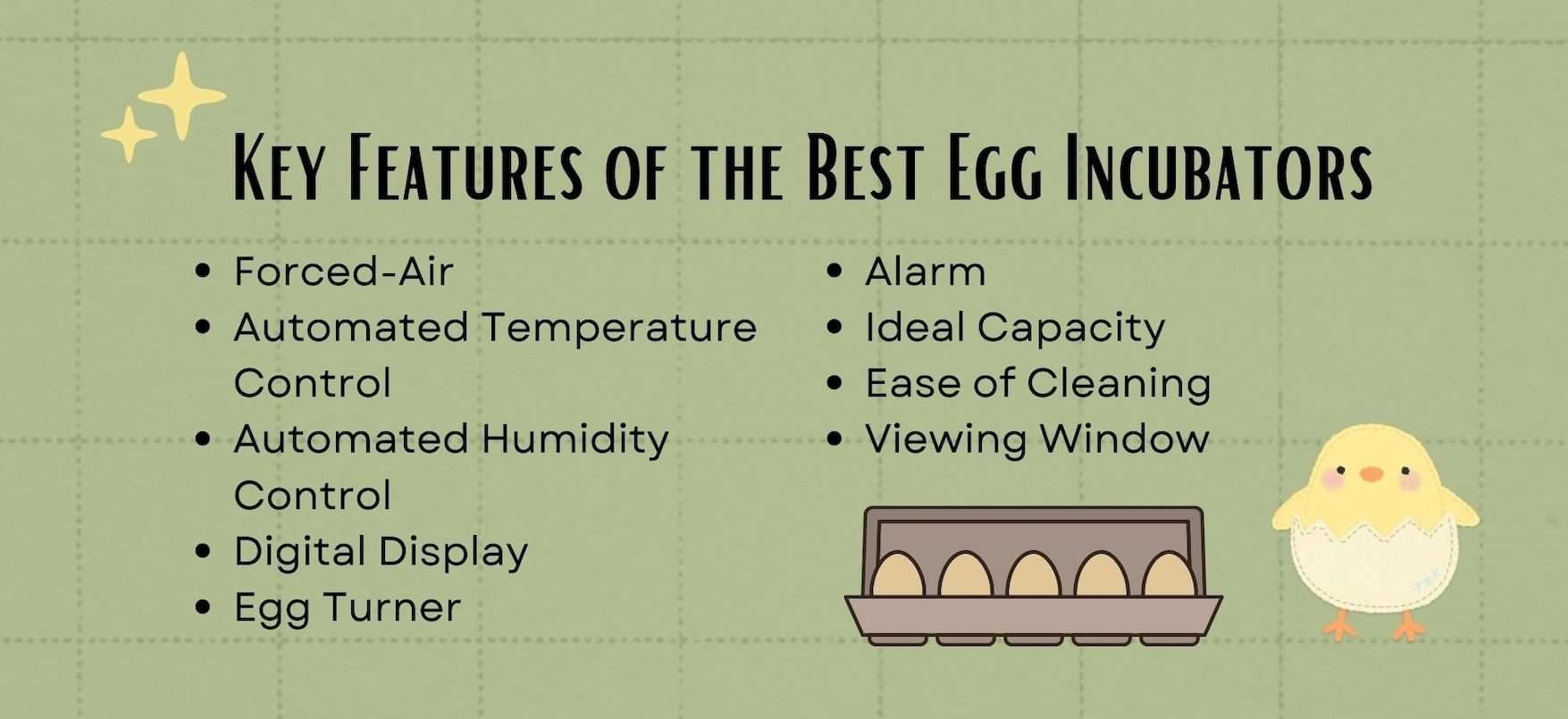 List of key features of the best egg incubators. Green background.