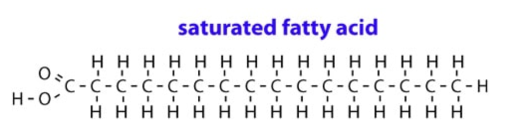 Saturated Fatty Acid Structure