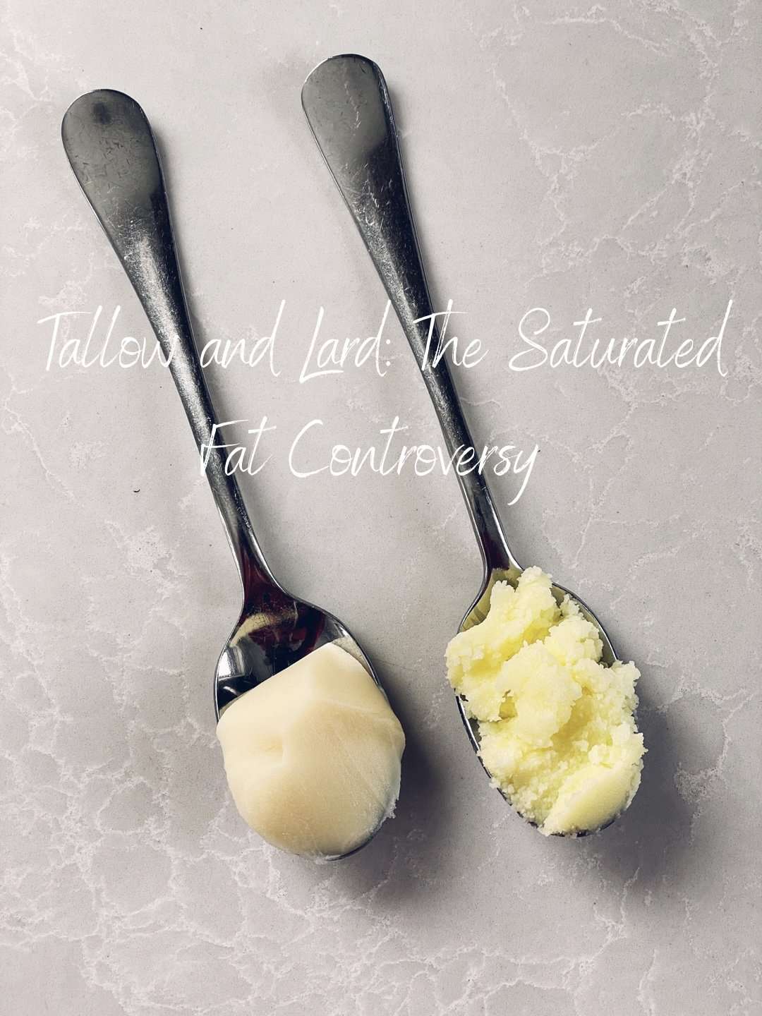 A spoonful of lard next to a spoonful of tallow
