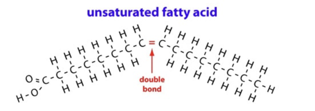 Unsaturated Fatty Acid Structure