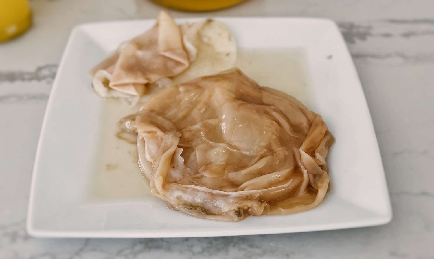 SCOBY sitting on a square white plate