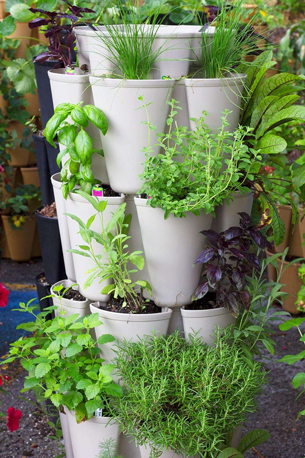 The 5 Best Vertical Garden Kits in 2024