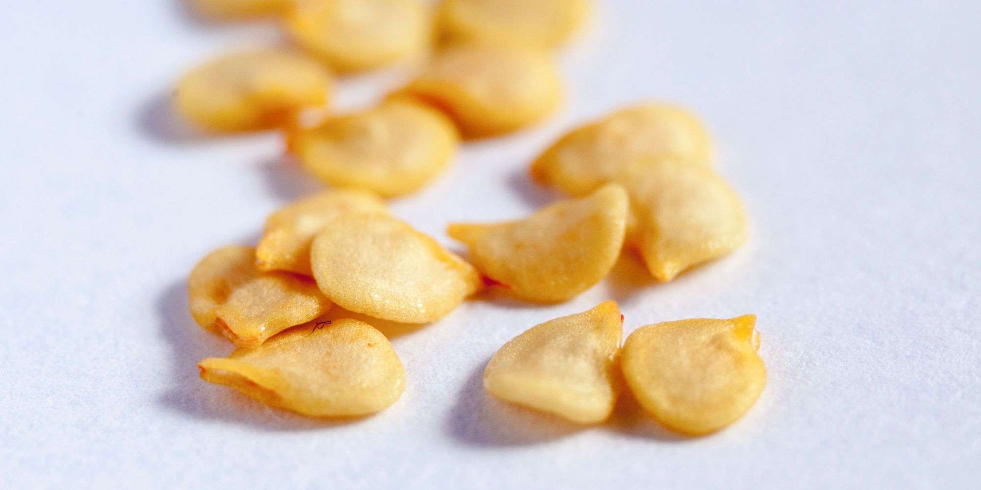 Pepper seeds on a white background