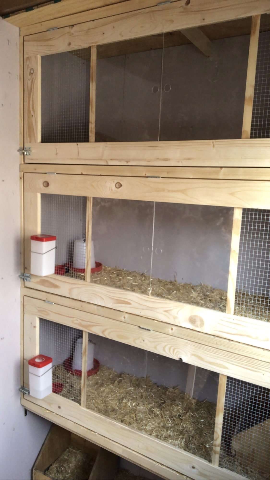 Poultry Equipment - Chick Brooder and Chick Guard from Jalna