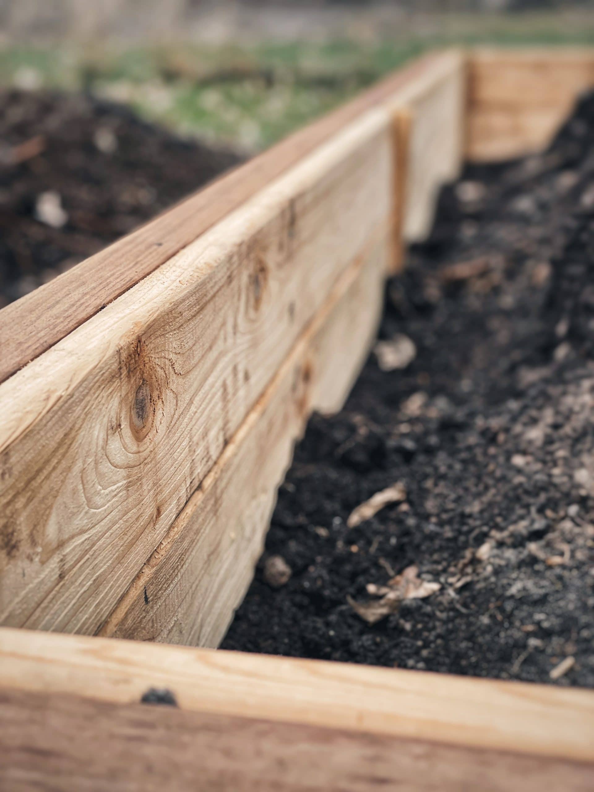 A close-up photo of an empty raised bed