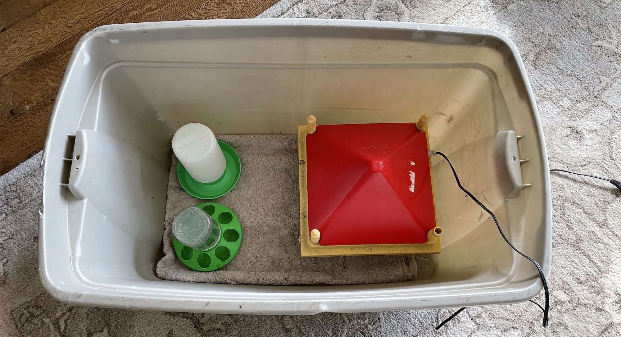 Simple brooder set up in a plastic tub