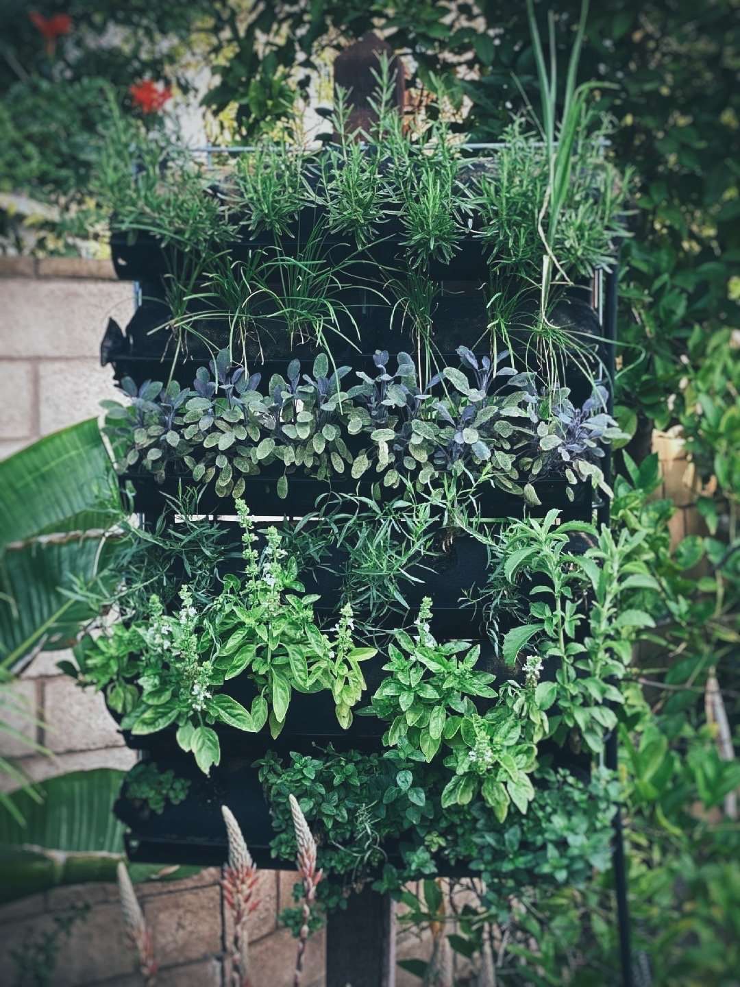 Vertical Garden Supply kit on display with many plants on an outside patio