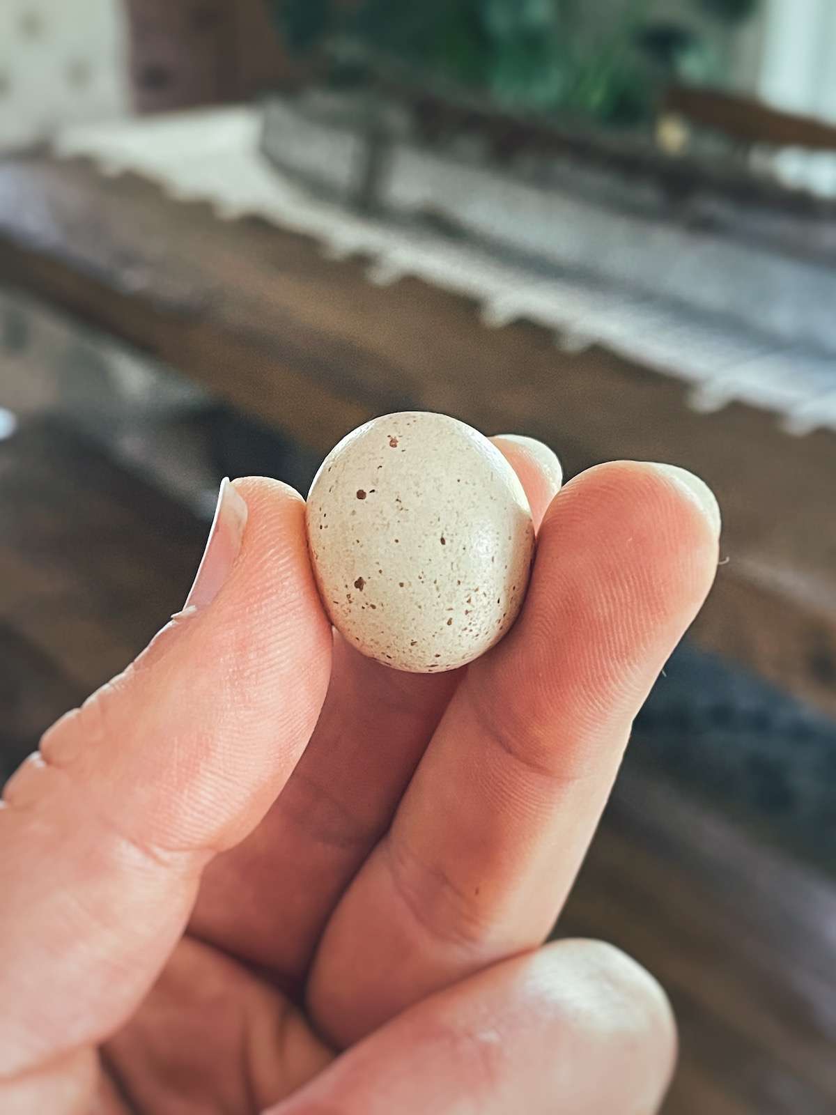 Holding a fairy egg between 3 fingers in front of a wooden table