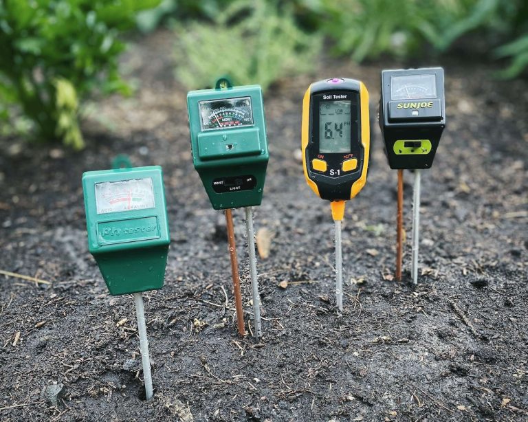 The 5 Best Soil pH Testers in 2024 - The Homesteading RD