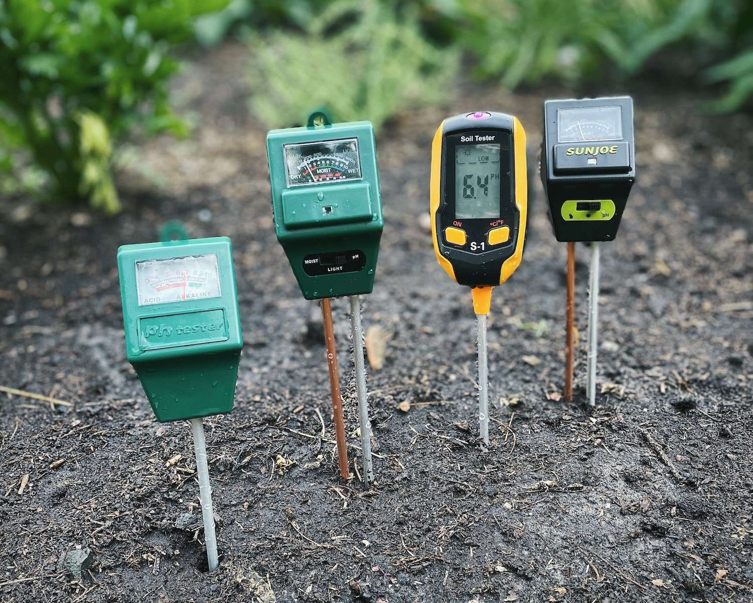 4 soil pH testers inserted into the soil of a raised bed