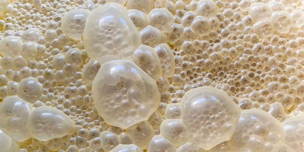 Up close photo showing bubbles from fermentation
