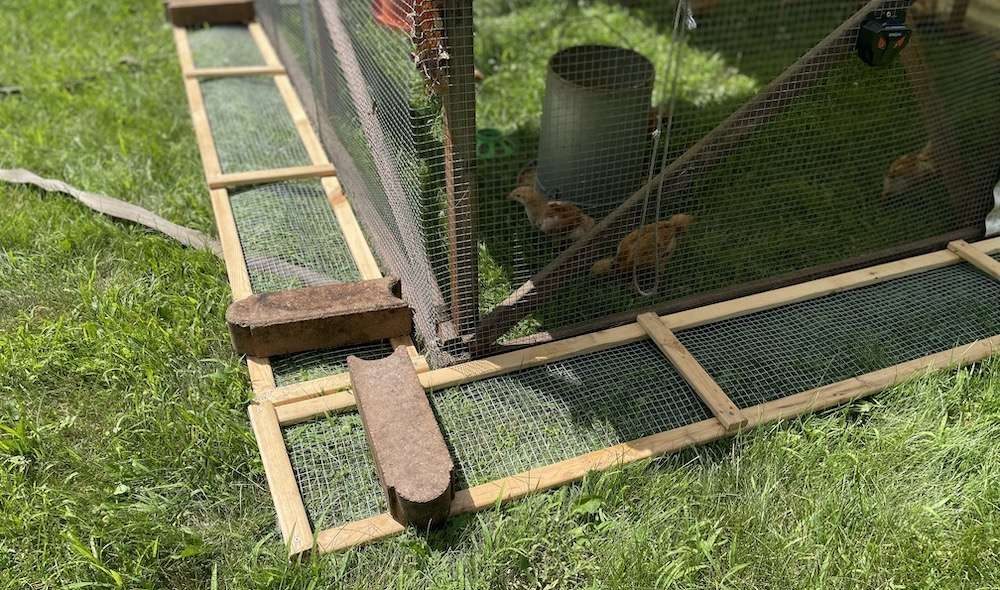 Finished no-dig skirts to predator proof the chicken tractor