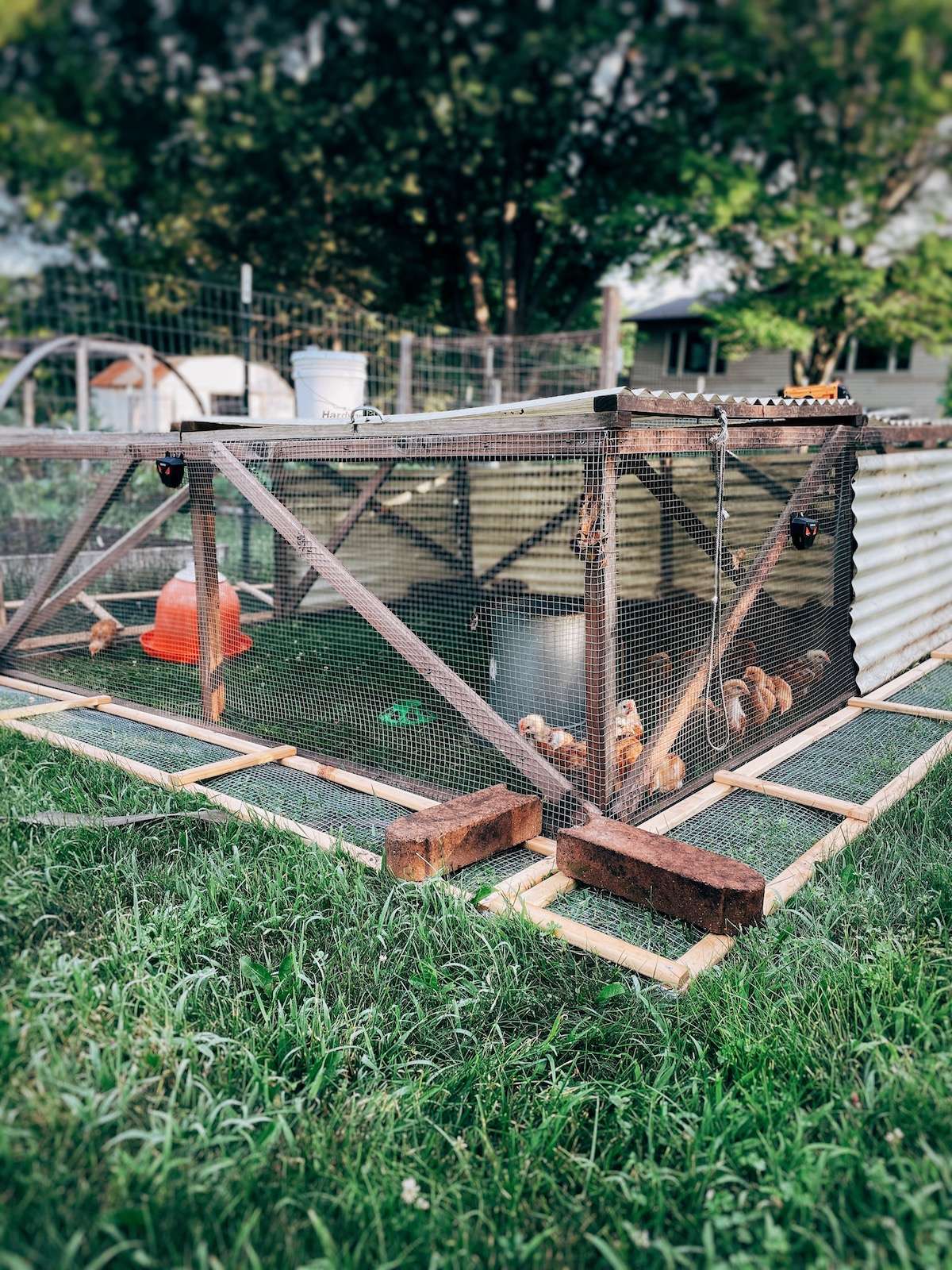 A salatin-style chicken tractor set up with removable no-dig skirts that are weighed down with bricks