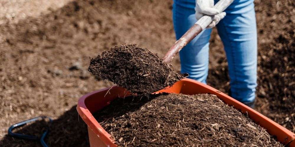 An individual is turning a wheelbarrow full of compost over with a shovel