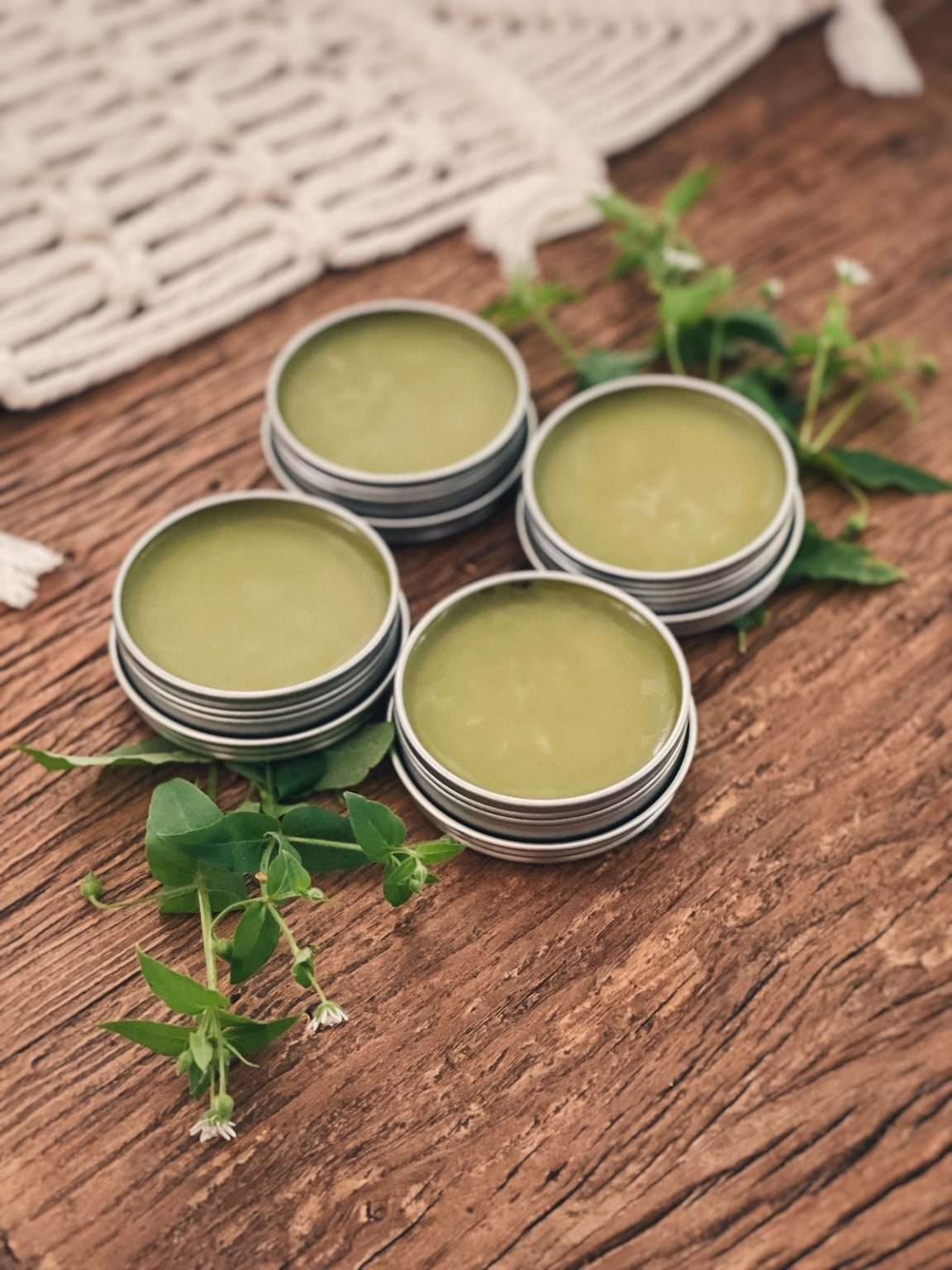 Soothing Chickweed Salve Recipe - The Homesteading RD