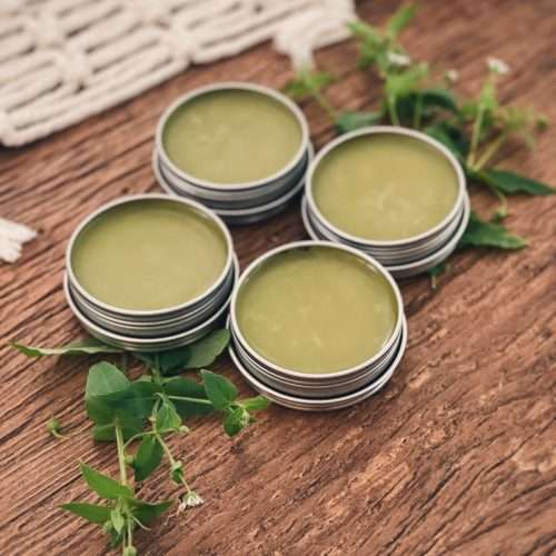 4 tins of chickweed salve on a wooden table with fresh chickweed nearby