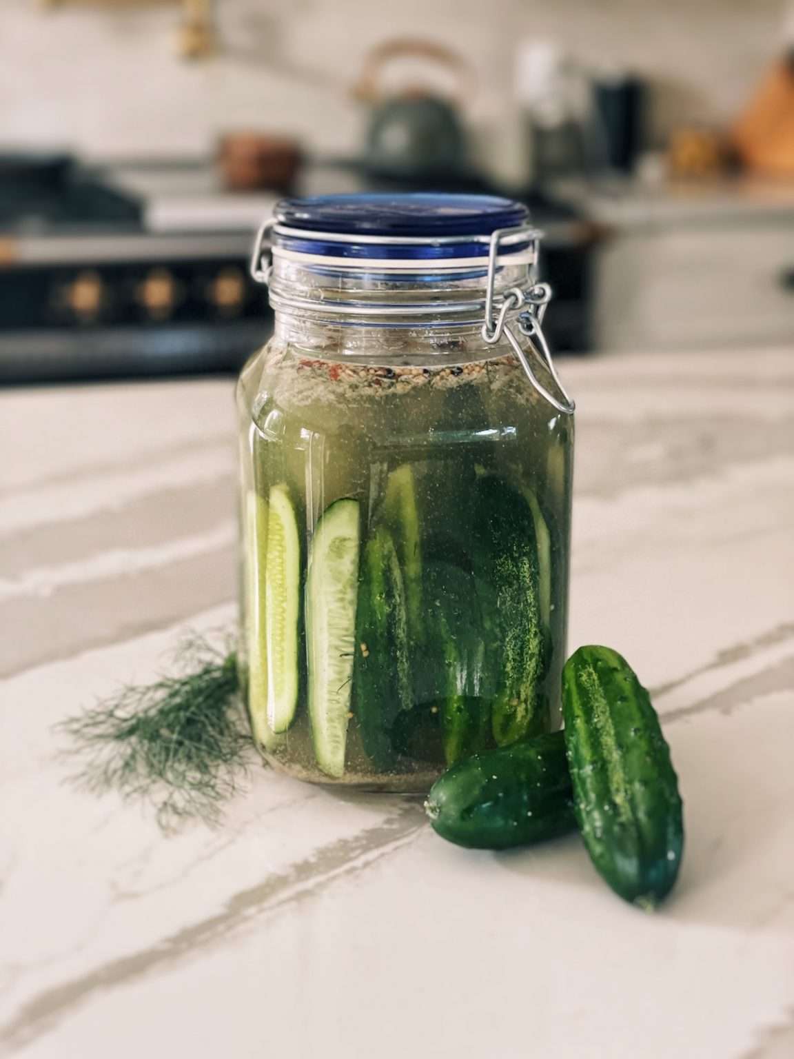 No Cook Refrigerator Pickles (Quick!) The Homesteading RD
