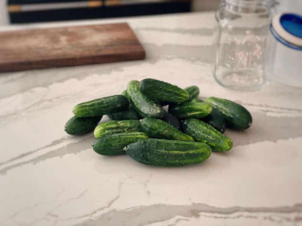 A pile of canning cucumbers sitting on a kitchen island