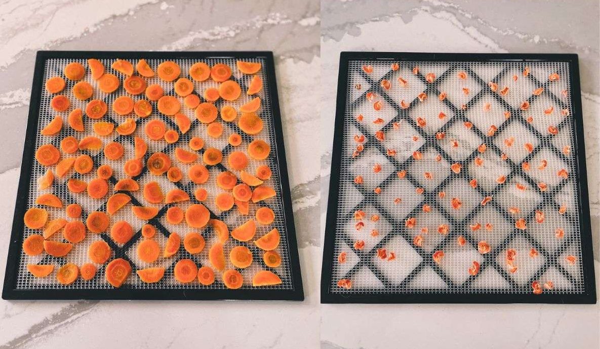 Comparison of hydrated vs dehydrated carrots side by side