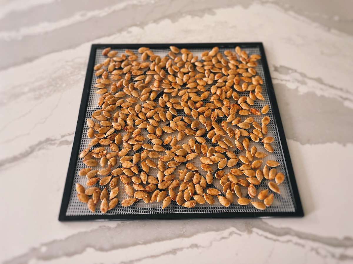 Pumpkin seeds laid out on a dehydrator tray