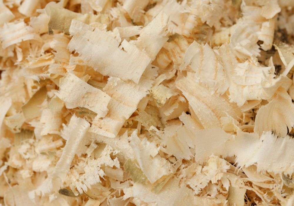 Close up view of pine shavings