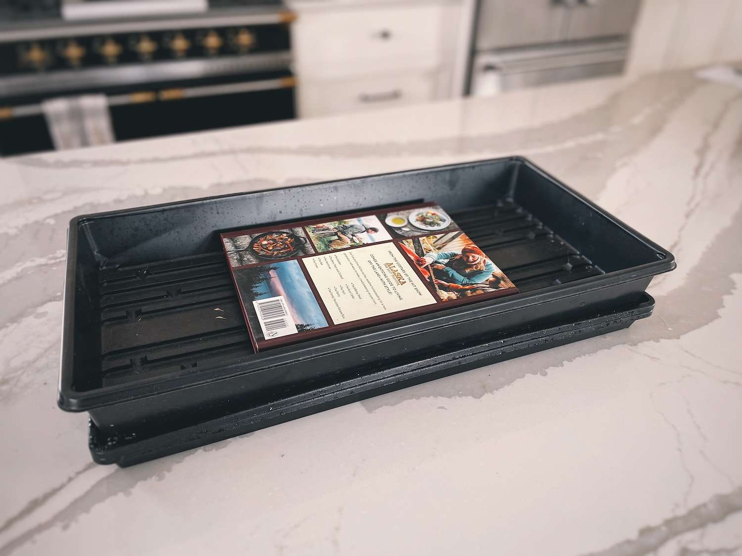 A 1020 growing tray filled with broccoli microgreens, with a blackout dome and book on top.