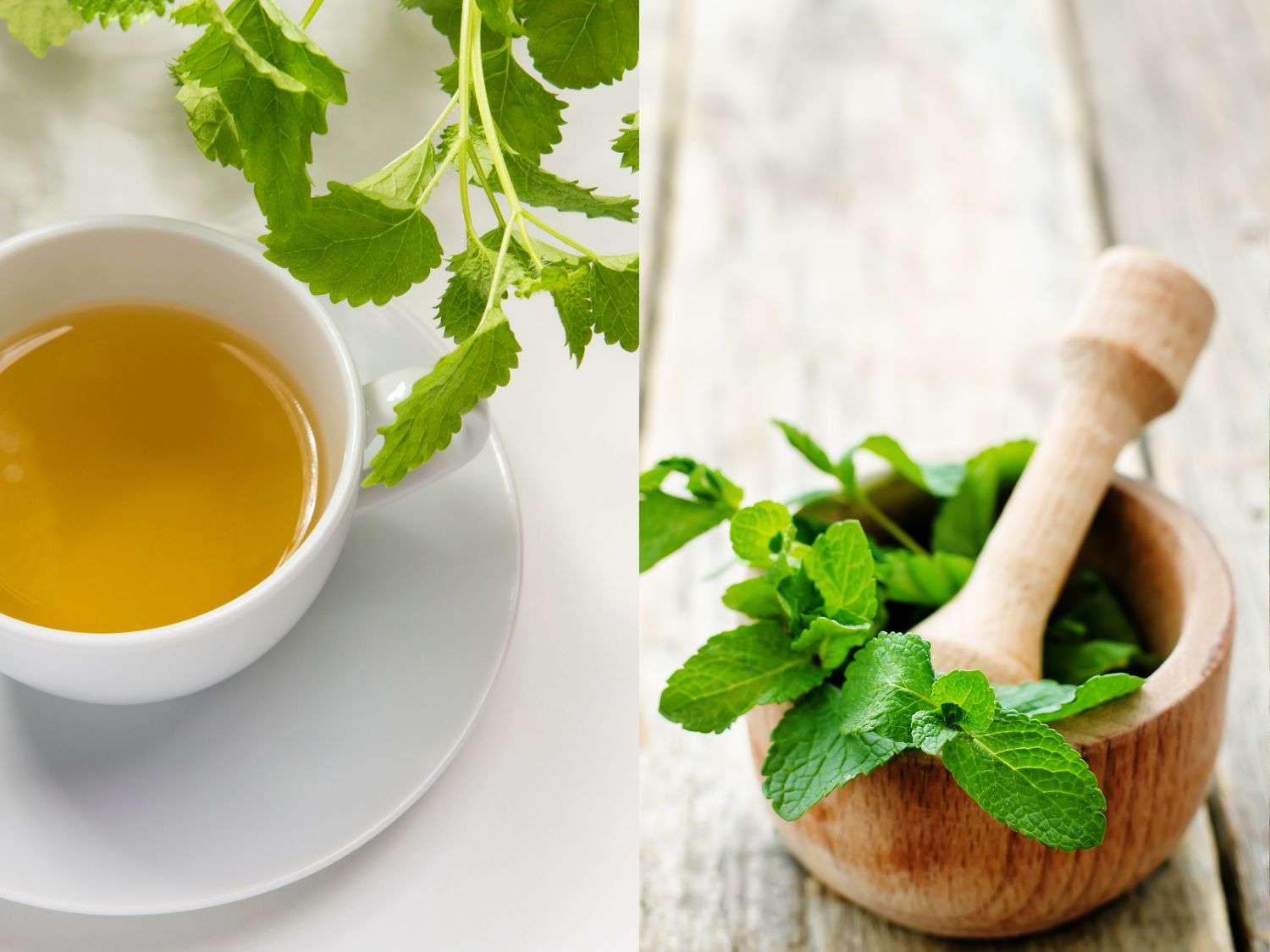 lemon balm tea next to a muddler with mint