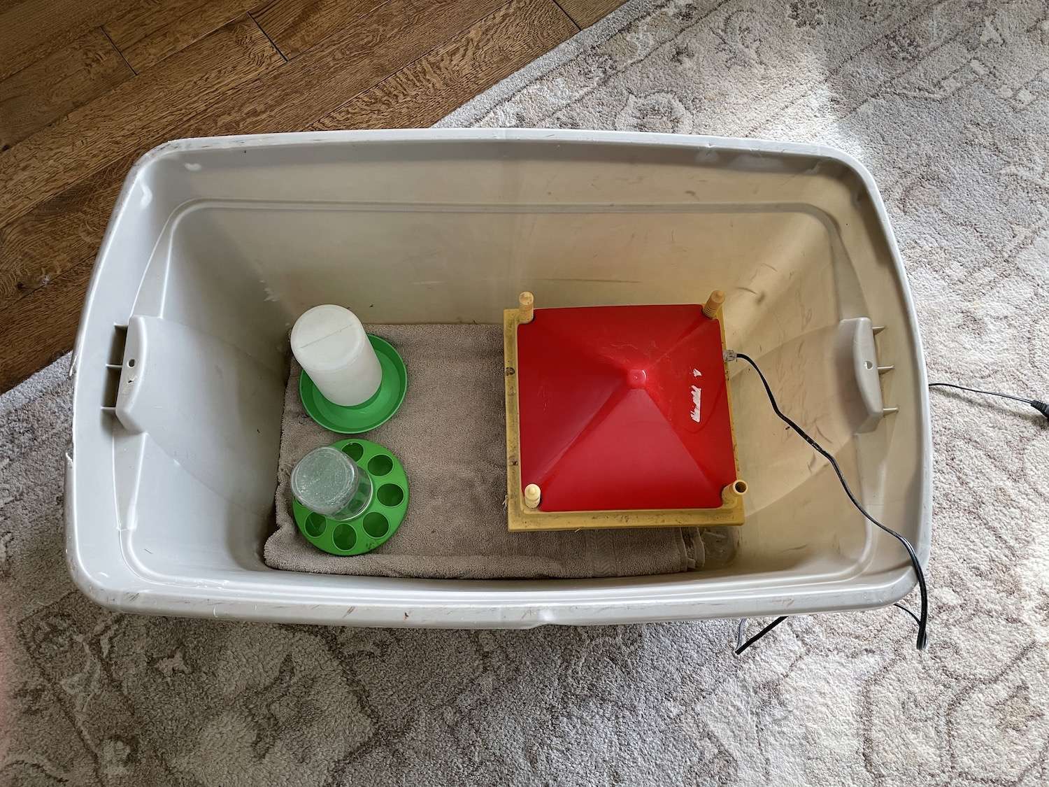 A photo of a DIY chick brooder using a plastic tub