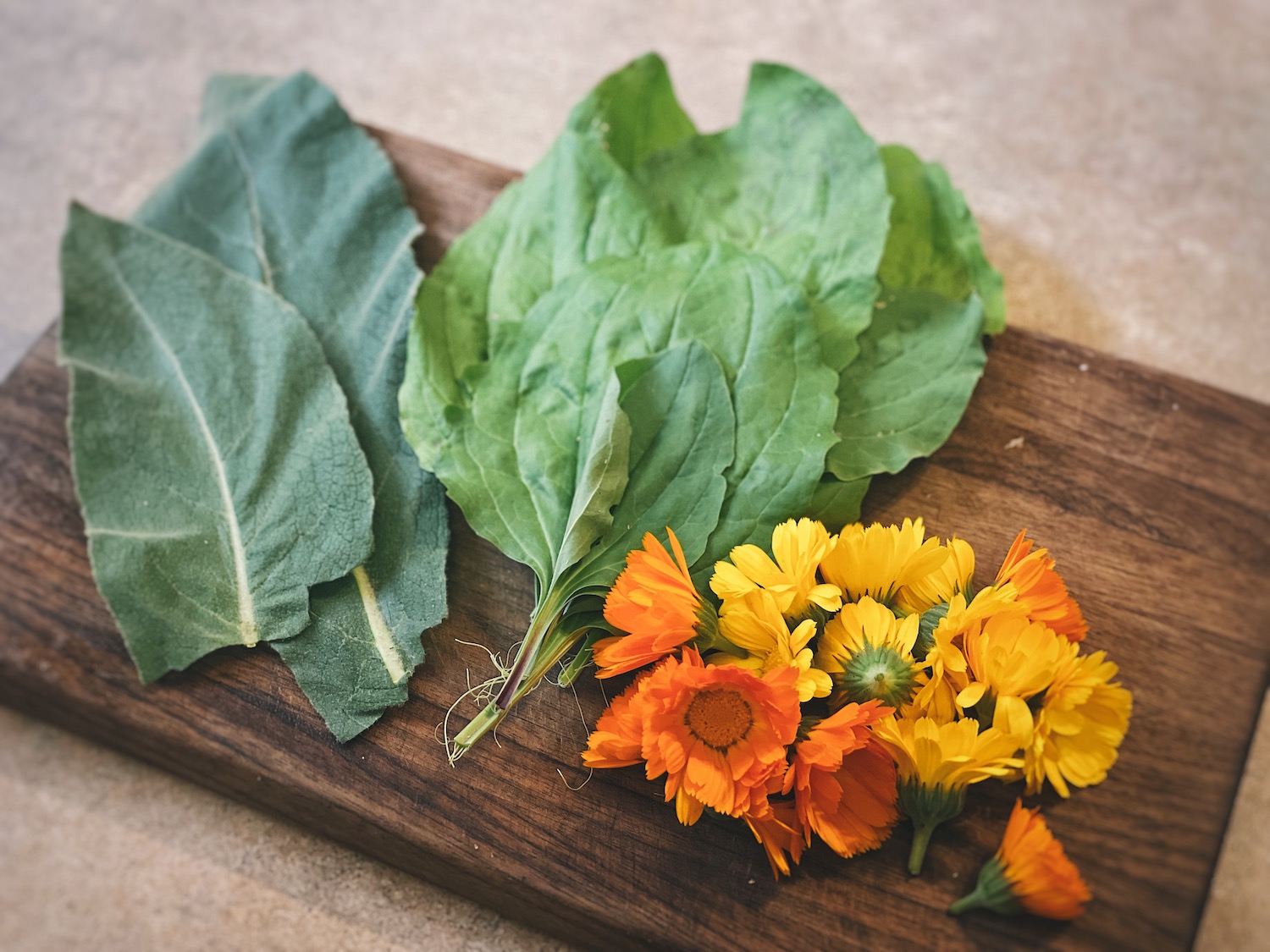Fresh mullein, plantain and calendula flowers laid out on a cutting board.