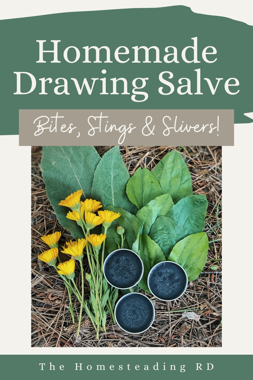 Homemade Drawing Salve (Bites, Stings & Slivers)