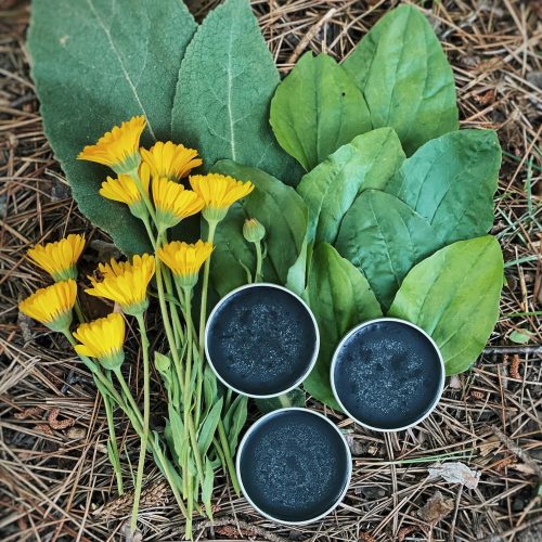 A photo of homemade drawing salve tins laid out next to calendula, plantain and mullein leaves in the woods