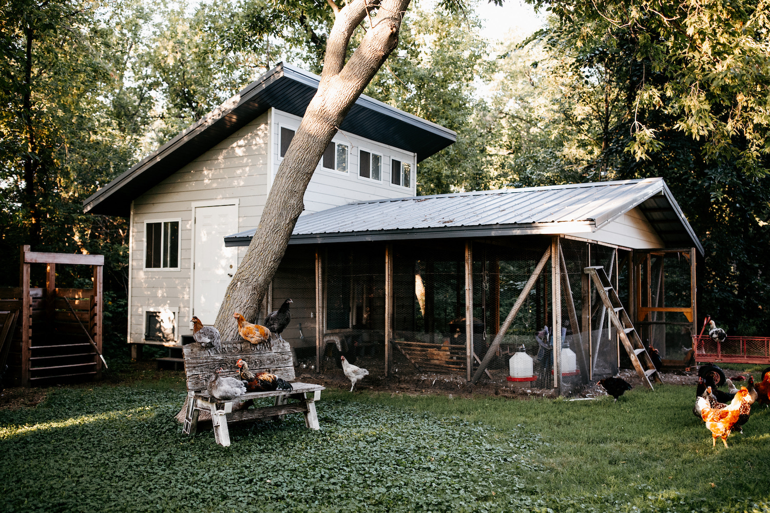 A photo of the poultry palace, freshly mowed to keep ticks down