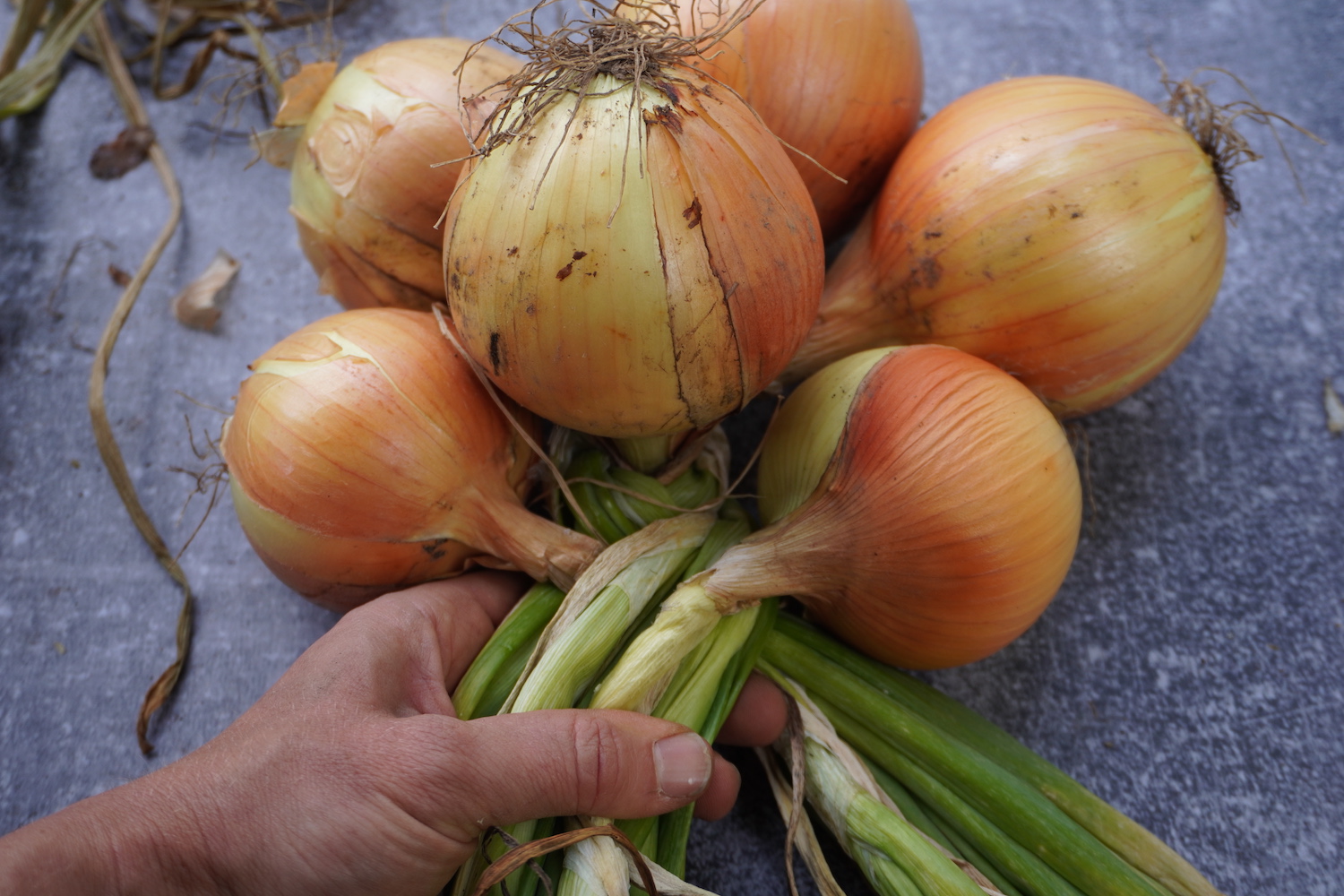 Braiding in the 6th onion