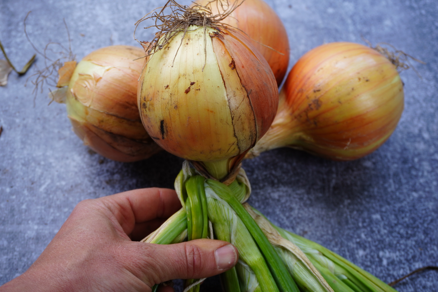 Adding 2 more cross braids over the 4th onion