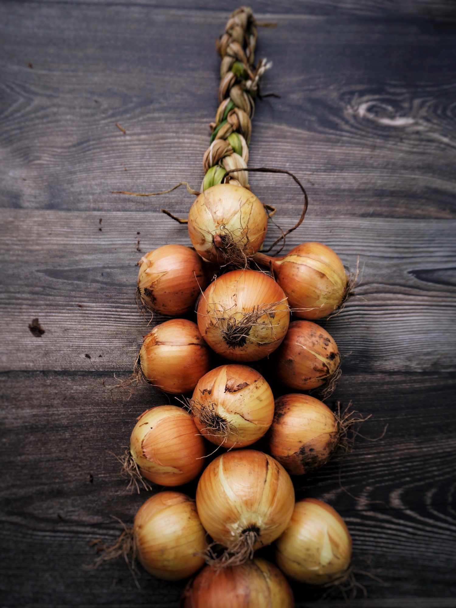 A braided string of onions laying on a wooden background