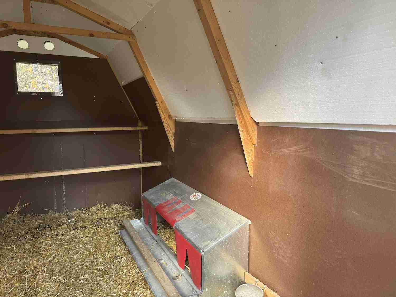 A photo showing use of 1 1/2" styrofoam as insulation in the coop