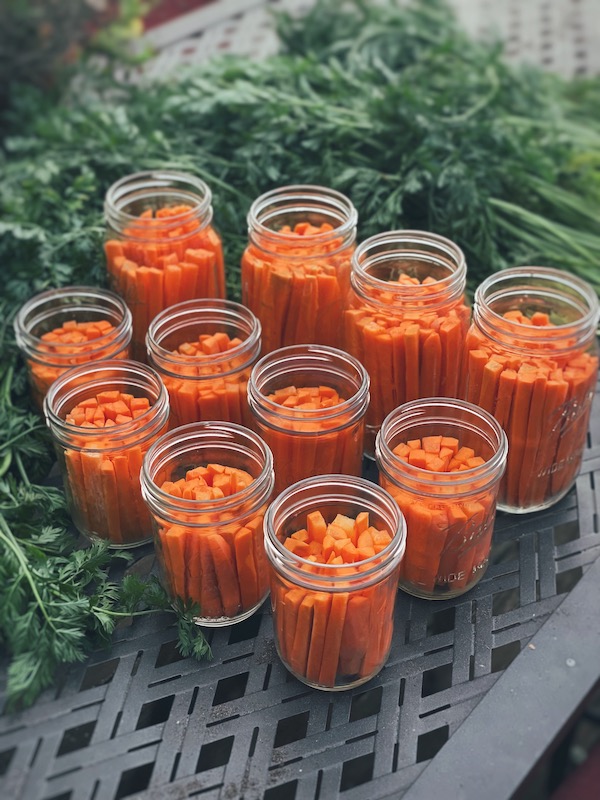 A photo of carrot sticks in glass mason jars with carrot greens behind it.