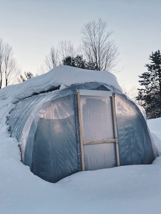 A small hooped greenhouse buried in snow