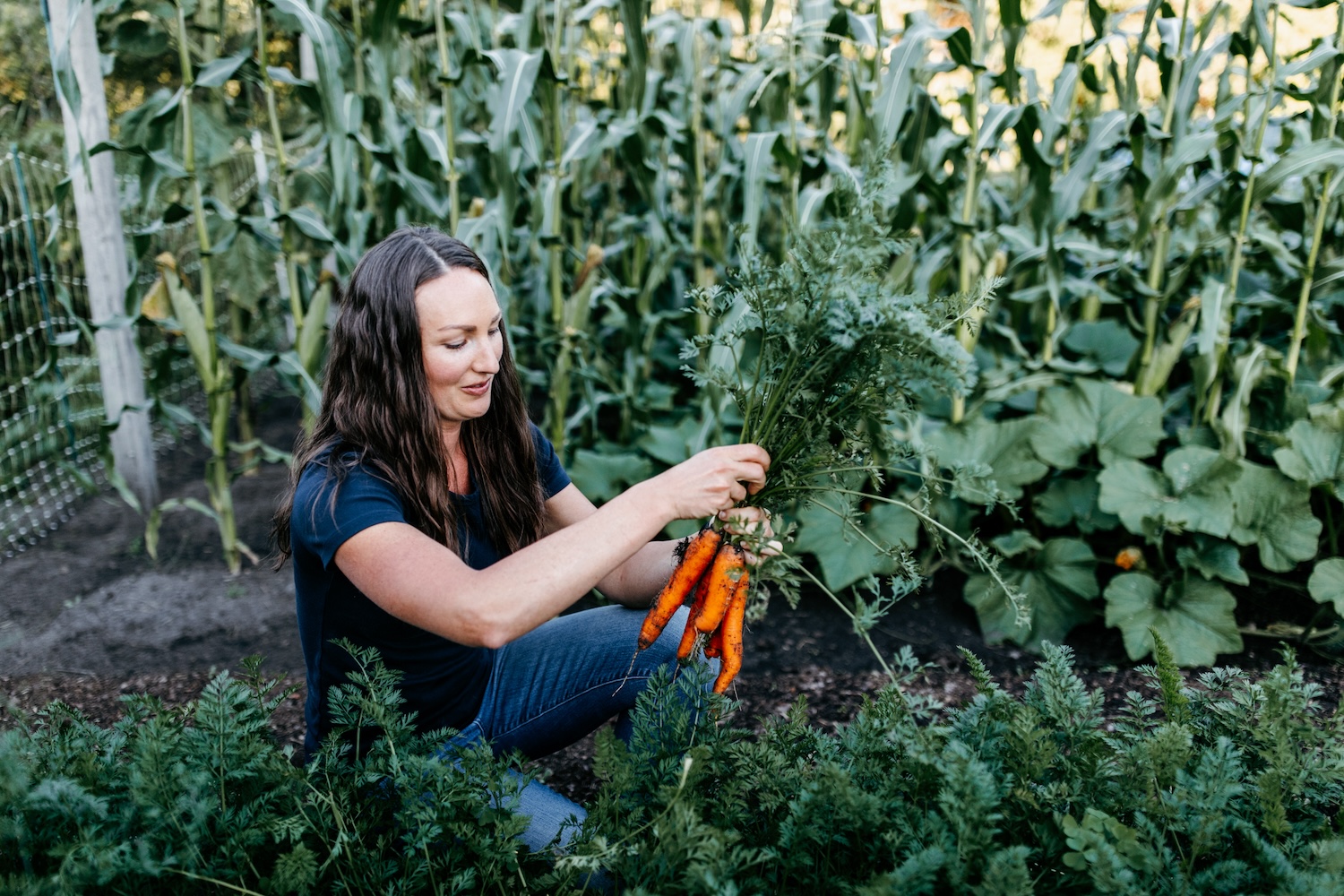 A photo of Katie pulling carrots out of the ground in her garden