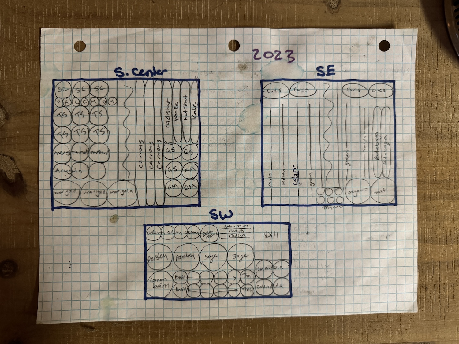 A graph paper drawing of 3 garden beds